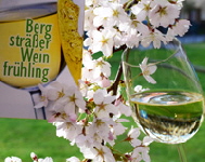 Weinfrühling Weiß Blüten Logo L_k